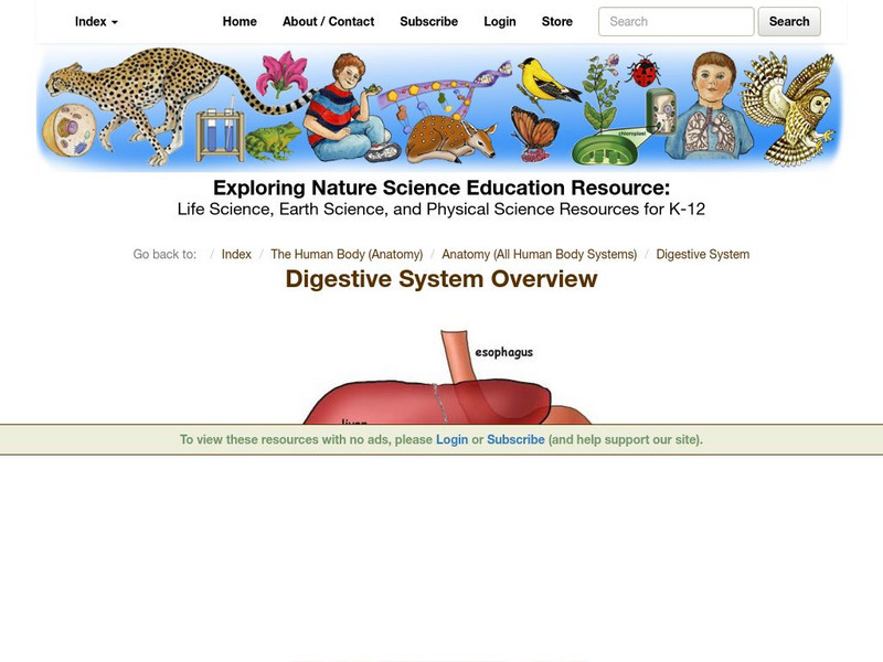 Exploring Nature Educational Resource: Digestive System Graphic Exploring Nature Educational Resource: Digestive System Graphic