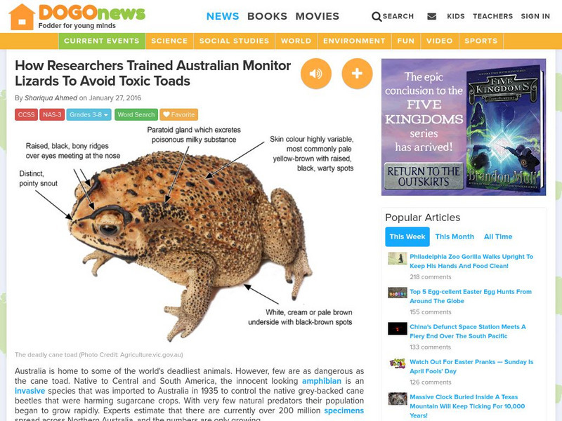 Dogo News: How Researchers Trained Lizards to Avoid Toxic Toads Article Dogo News: How Researchers Trained Lizards to Avoid Toxic Toads Article