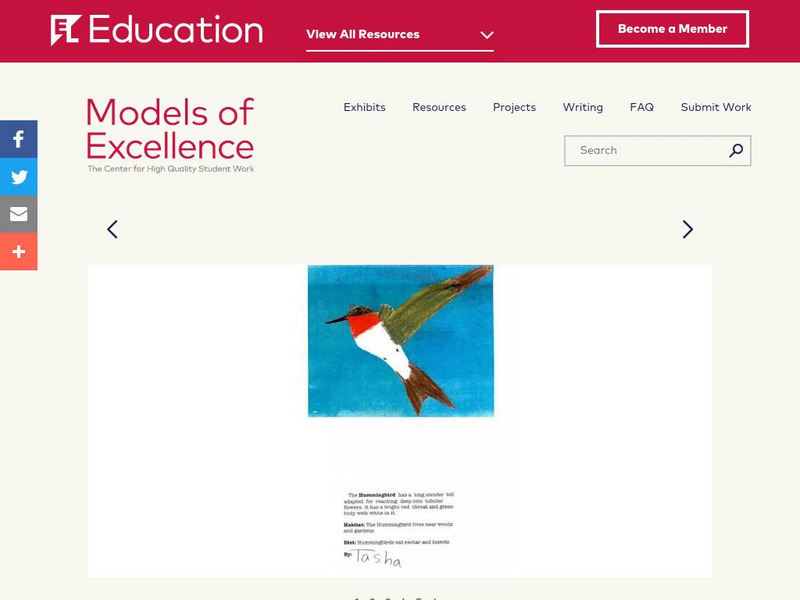 El Education: East End Bird Cards Unknown Type El Education: East End Bird Cards Unknown Type