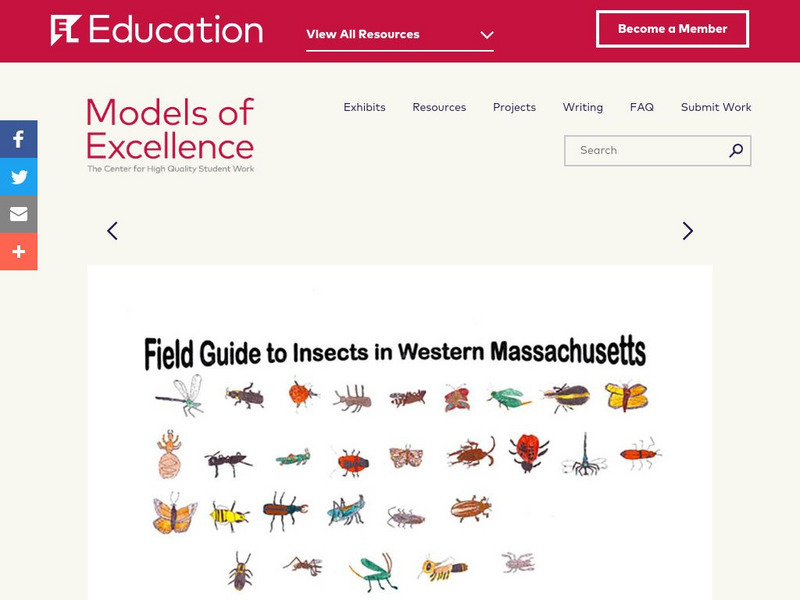 El Education: Field Guide to Insects in Western Massachusetts Unknown Type El Education: Field Guide to Insects in Western Massachusetts Unknown Type