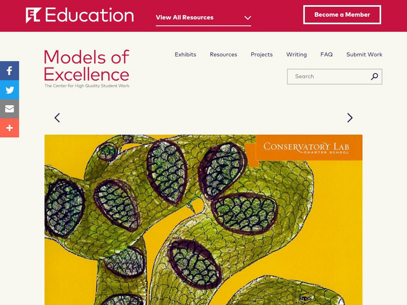 El Education: What Snake Am I? Unknown Type El Education: What Snake Am I? Unknown Type