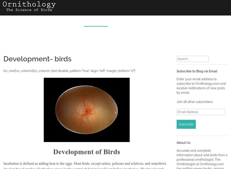 Ornithology: Avian Development Handout Ornithology: Avian Development Handout