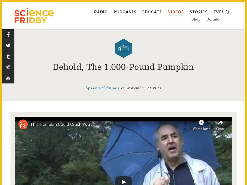 Science Friday: Behold the 1000 Pound Pumpkin Instructional Video Science Friday: Behold the 1000 Pound Pumpkin Instructional Video