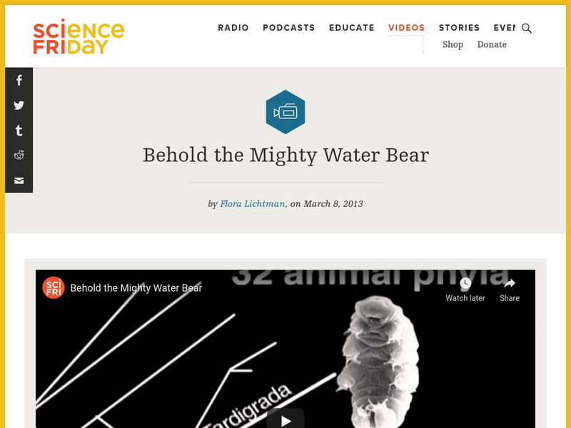 Science Friday: Behold the Mighty Water Bear Instructional Video Science Friday: Behold the Mighty Water Bear Instructional Video
