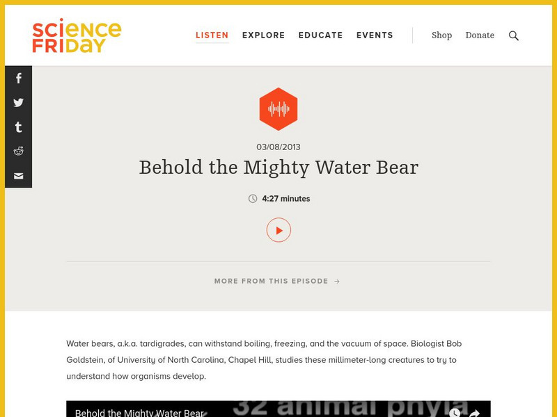 Science Friday: Behold the Mighty Water Bear Audio Science Friday: Behold the Mighty Water Bear Audio
