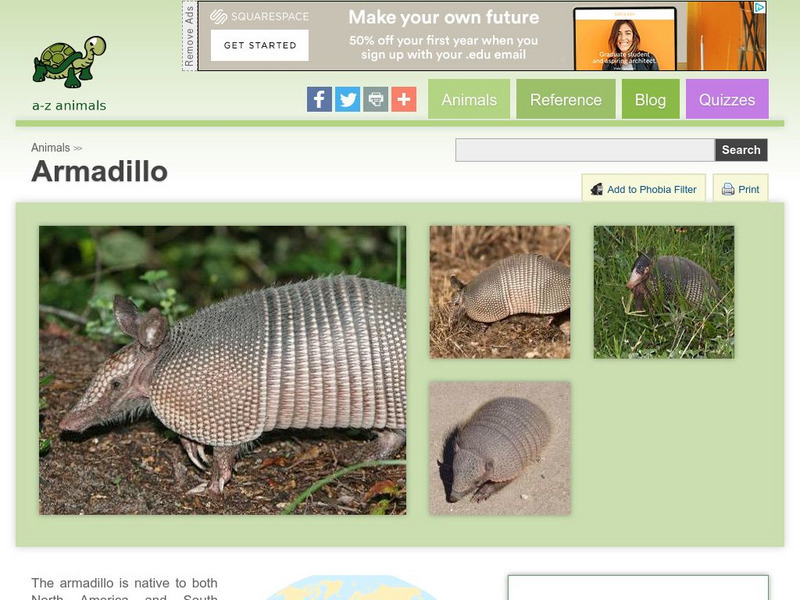 A Z Animals: Animal Facts: Armadillo (Dasypodidae) Handout A Z Animals: Animal Facts: Armadillo (Dasypodidae) Handout