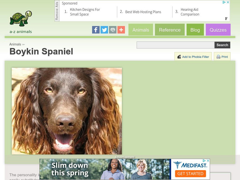 A Z Animals: Animal Facts: Boykin Spaniel Handout