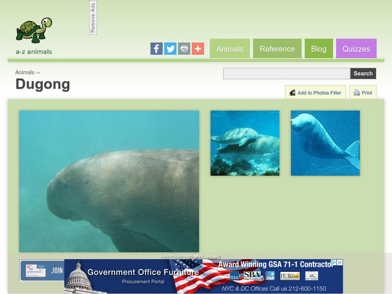 A Z Animals: Animal Facts: Dugong (Dugong Dugon) Handout A Z Animals: Animal Facts: Dugong (Dugong Dugon) Handout