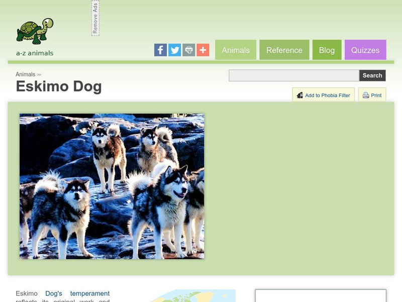A Z Animals: Animal Facts: Eskimo Dog Handout A Z Animals: Animal Facts: Eskimo Dog Handout