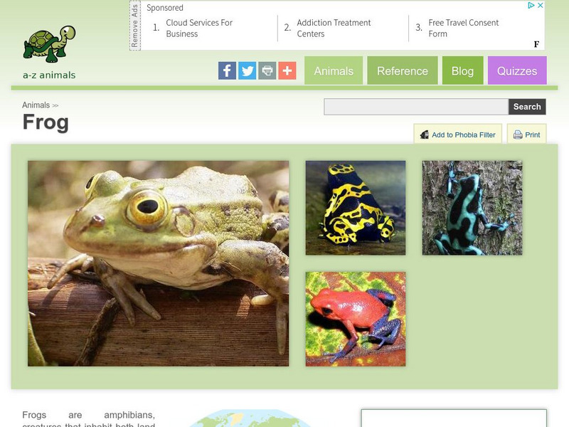 A Z Animals: Animal Facts: Frog (Rana Temporaria) Handout A Z Animals: Animal Facts: Frog (Rana Temporaria) Handout