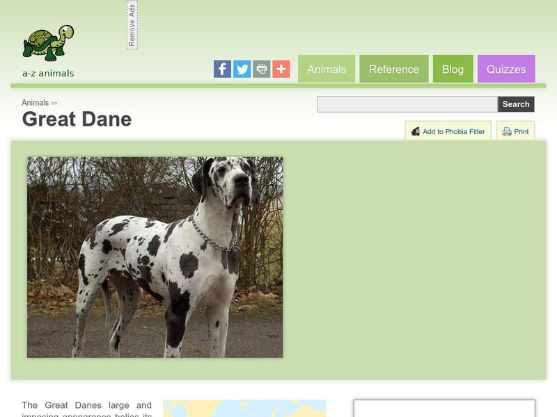 A Z Animals: Animal Facts: Great Dane Handout A Z Animals: Animal Facts: Great Dane Handout