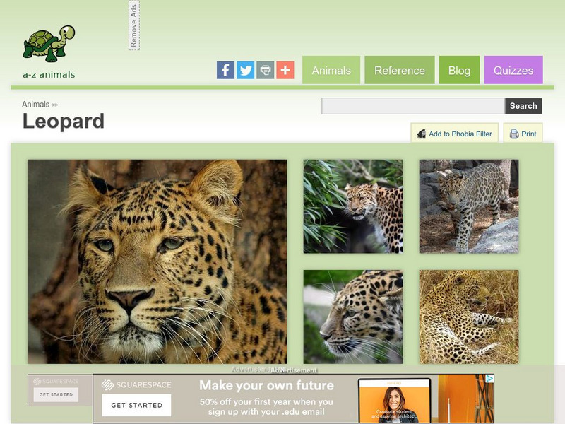 A Z Animals: Animal Facts: Leopard (Panthera Pardus) Handout A Z Animals: Animal Facts: Leopard (Panthera Pardus) Handout