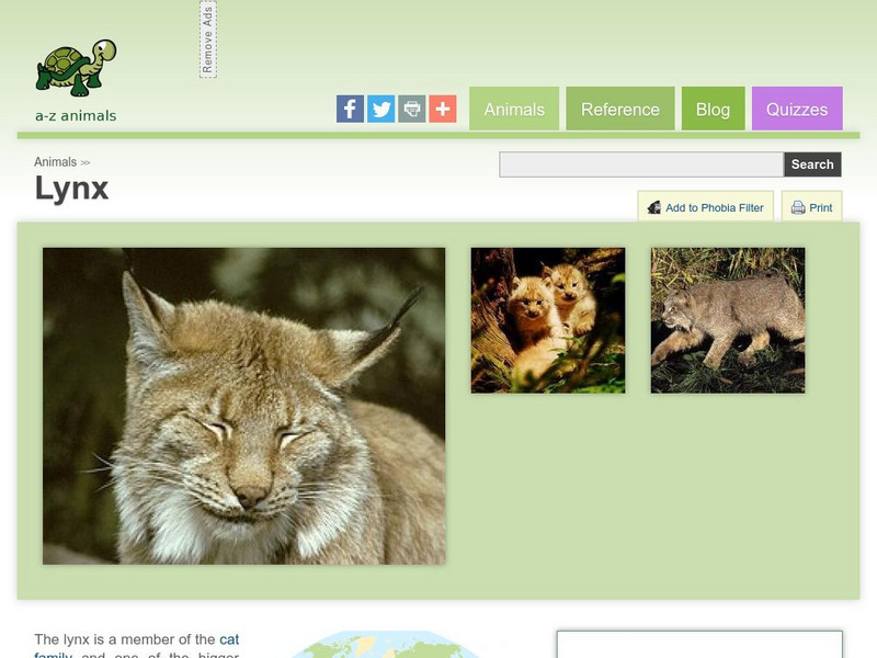 A Z Animals: Animal Facts: Lynx (Felis Lynx) Handout A Z Animals: Animal Facts: Lynx (Felis Lynx) Handout