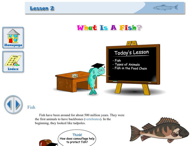 Something Fishy: What Is a Fish? Activity Something Fishy: What Is a Fish? Activity