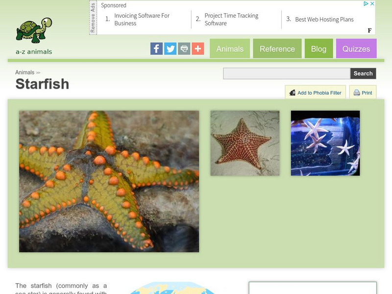 A Z Animals: Animal Facts: Starfish (Protoreaster Nodosus) Handout A Z Animals: Animal Facts: Starfish (Protoreaster Nodosus) Handout