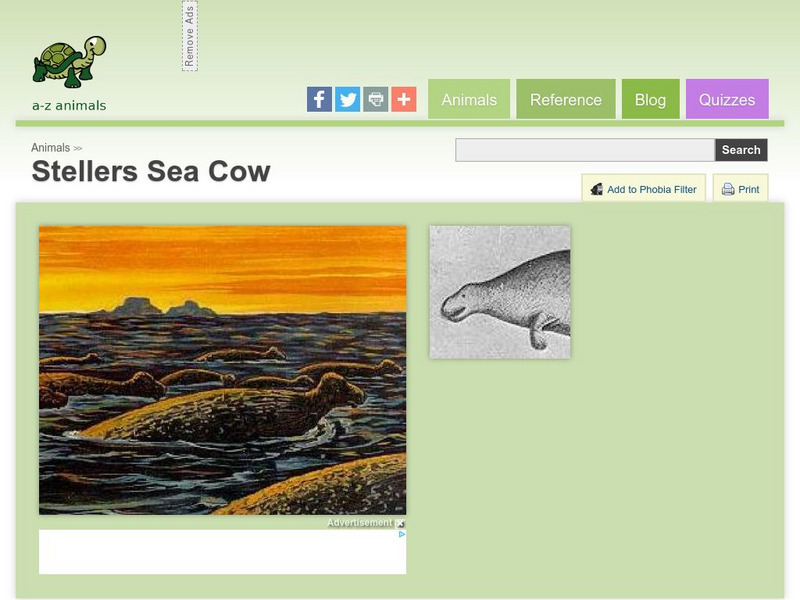 A Z Animals: Animal Facts: Stellers Sea Cow (Hydrodamalis Gigas) Handout A Z Animals: Animal Facts: Stellers Sea Cow (Hydrodamalis Gigas) Handout