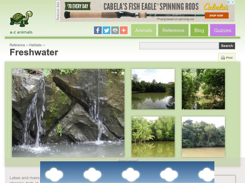 A Z Animals: Reference: Habitats: Freshwater Handout