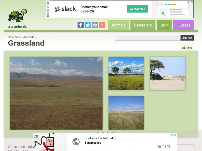 A Z Animals: Reference: Habitats: Grassland Handout A Z Animals: Reference: Habitats: Grassland Handout