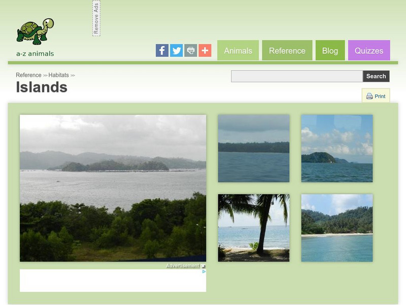 A Z Animals: Reference: Habitats: Islands Handout A Z Animals: Reference: Habitats: Islands Handout