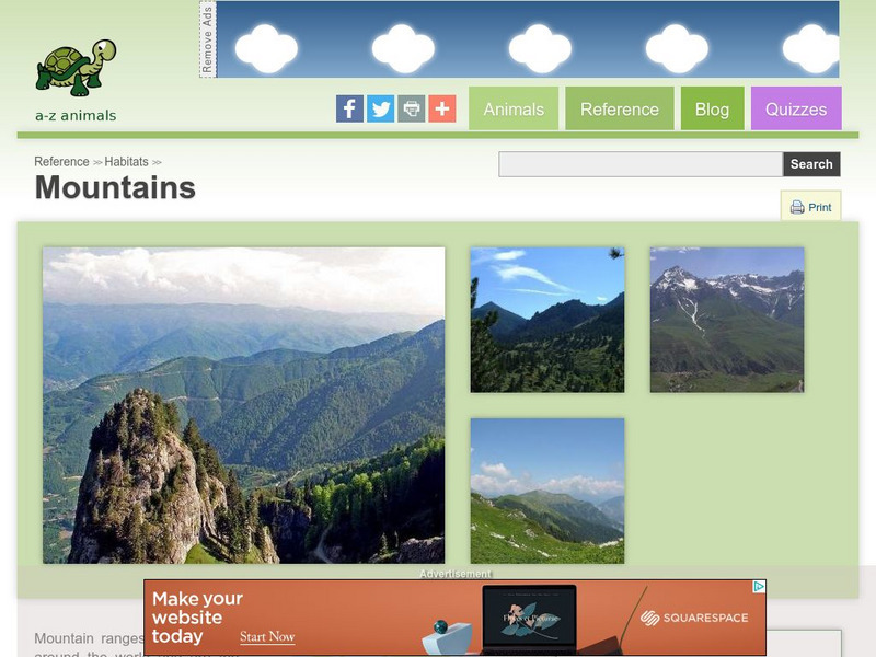 A Z Animals: Reference: Habitats: Mountains Handout A Z Animals: Reference: Habitats: Mountains Handout