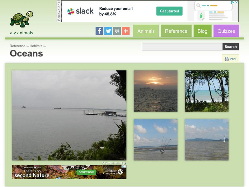 A Z Animals: Reference: Habitats: Oceans Handout A Z Animals: Reference: Habitats: Oceans Handout