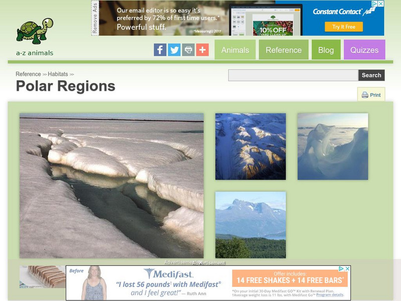 A Z Animals: Reference: Habitats: Polar Regions Handout