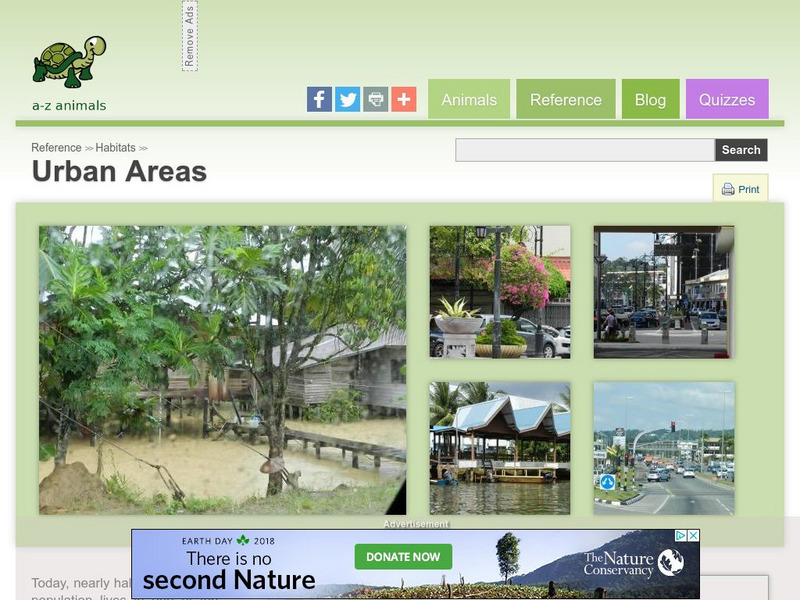 A Z Animals: Reference: Habitats: Urban Areas Handout A Z Animals: Reference: Habitats: Urban Areas Handout