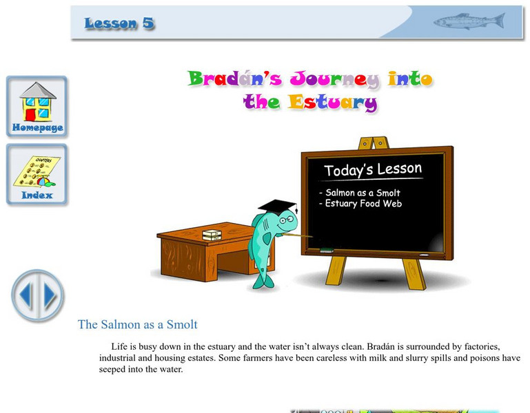 Something Fishy: Life in an Estuary Unit Plan