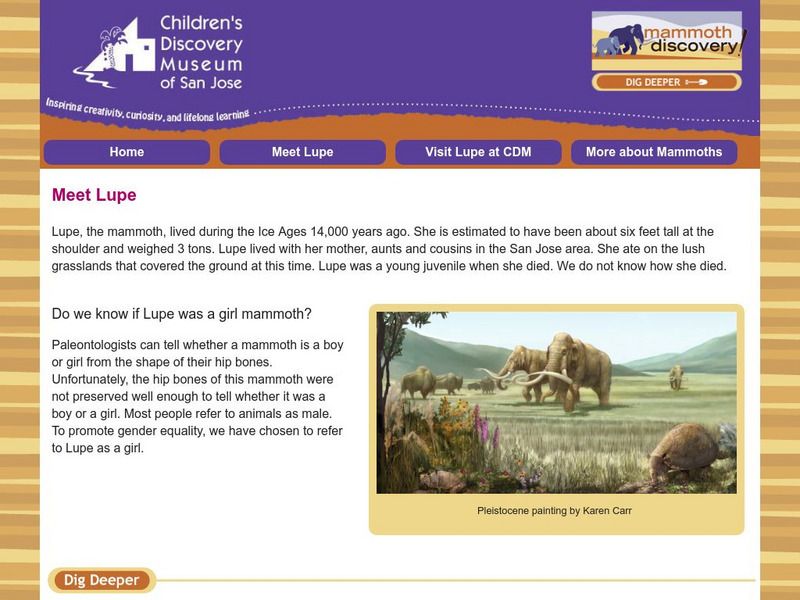 Children's Discovery Museum of San Jose: Mammoth Discovery: Meet Lupe Interactive Children's Discovery Museum of San Jose: Mammoth Discovery: Meet Lupe Interactive