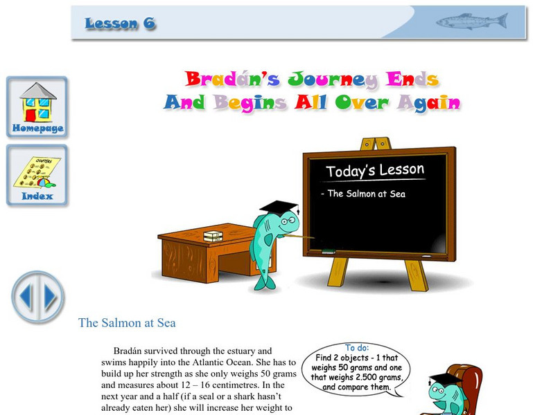 Something Fishy: The Salmon at Sea Activity