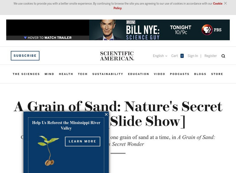 Scientific American Slideshow: A Grain of Sand: Nature's Secret Wonder PPT Scientific American Slideshow: A Grain of Sand: Nature's Secret Wonder PPT