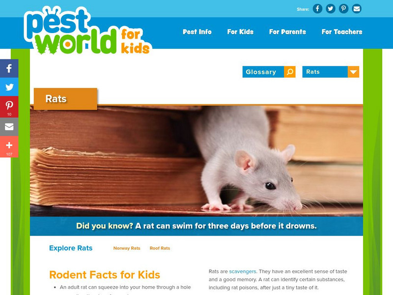 Pest World for Kids: Rats Handout