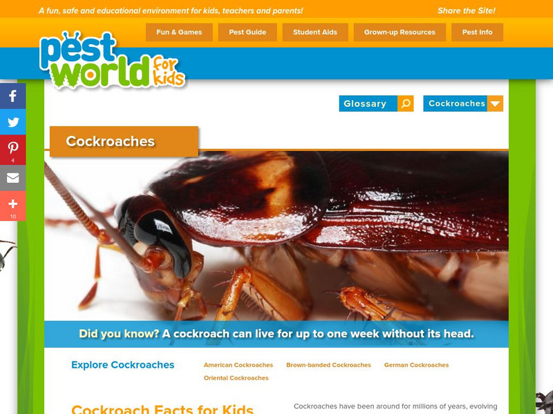 Pest World for Kids: Pest Guide: Cockroach Activity Pest World for Kids: Pest Guide: Cockroach Activity