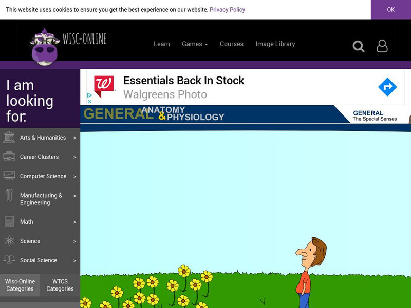 Wisc Online: The Sense of Smell Graphic Wisc Online: The Sense of Smell Graphic