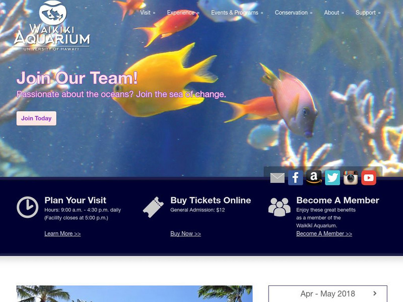 University of Hawaii: Waikiki Aquarium Website University of Hawaii: Waikiki Aquarium Website