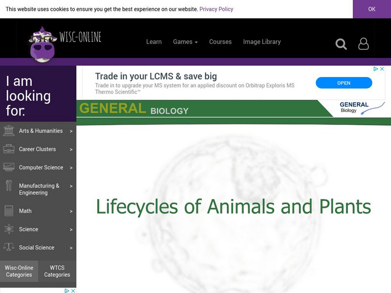 Wisc Online: Lifecycles of Animals and Plants Interactive Wisc Online: Lifecycles of Animals and Plants Interactive