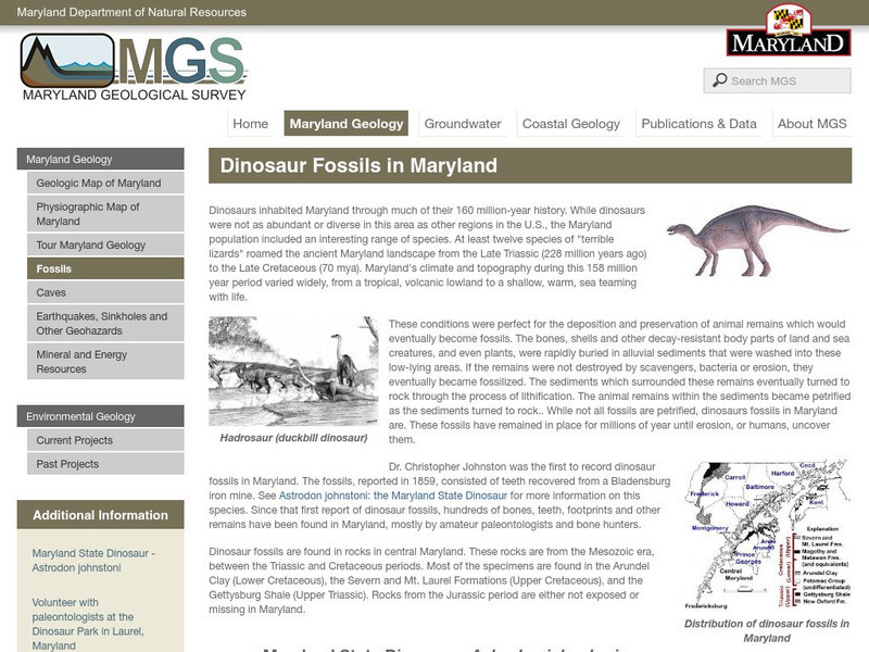 Maryland Department of Natural Resources: Maryland Dinosaurs Handout Maryland Department of Natural Resources: Maryland Dinosaurs Handout