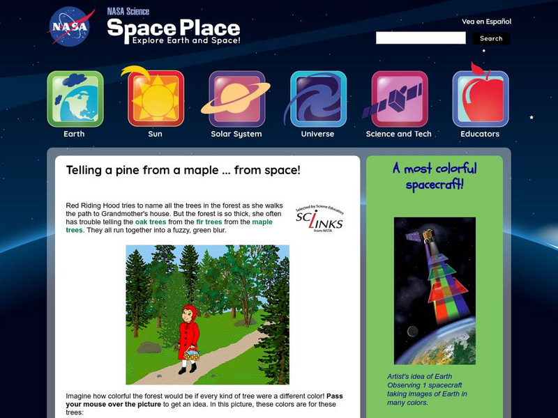 Nasa: The Space Place: Sorting Out Trees in the Forest Handout Nasa: The Space Place: Sorting Out Trees in the Forest Handout