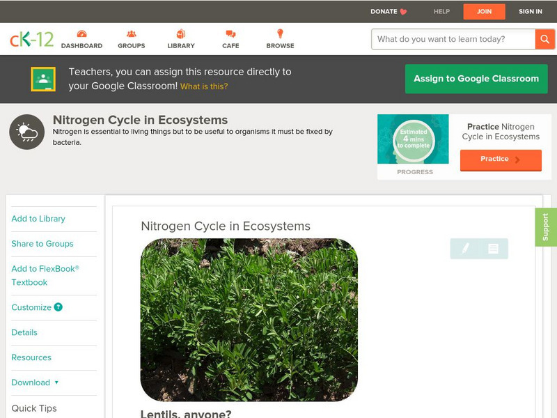 Ck 12: Earth Science: Nitrogen Cycle in Ecosystems Unit Plan Ck 12: Earth Science: Nitrogen Cycle in Ecosystems Unit Plan