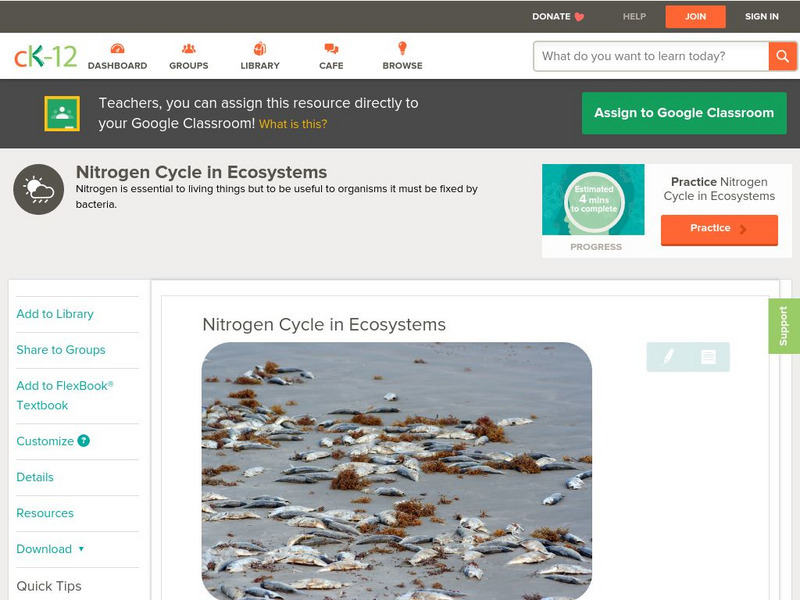 Ck 12: Earth Science: Nitrogen Cycle in Ecosystems Unit Plan Ck 12: Earth Science: Nitrogen Cycle in Ecosystems Unit Plan