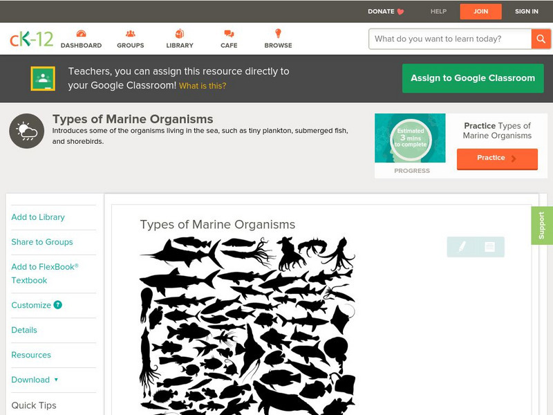 Ck 12: Earth Science: Types of Marine Organisms Unit Plan Ck 12: Earth Science: Types of Marine Organisms Unit Plan