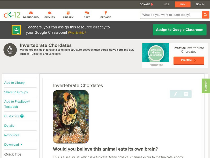 Ck 12: Biology: Invertebrate Chordates Unit Plan Ck 12: Biology: Invertebrate Chordates Unit Plan