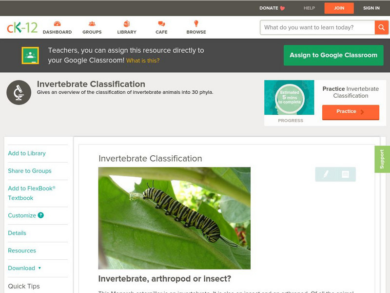 Ck 12: Biology: Invertebrate Classification Unit Plan Ck 12: Biology: Invertebrate Classification Unit Plan