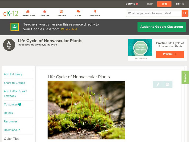 Ck 12: Biology: Life Cycle of Nonvascular Plants Unit Plan Ck 12: Biology: Life Cycle of Nonvascular Plants Unit Plan