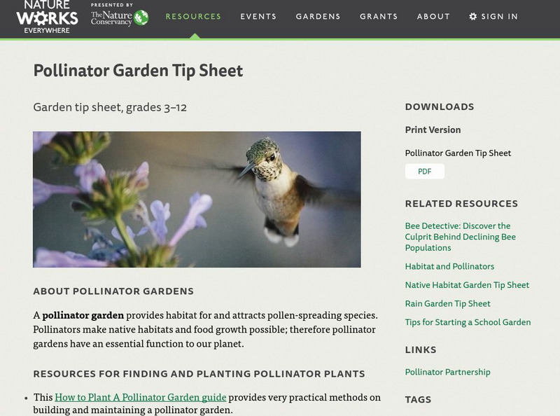 Nature Works Everywhere: Pollinator Garden Tip Sheet Handout Nature Works Everywhere: Pollinator Garden Tip Sheet Handout