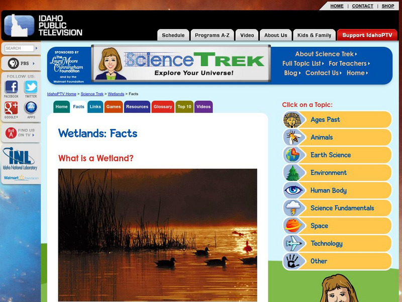 Idaho Public Television: Wetland Facts Activity