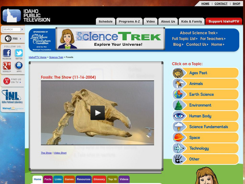 Idaho Ptv: Dialogue for Kids: Fossils Website Idaho Ptv: Dialogue for Kids: Fossils Website