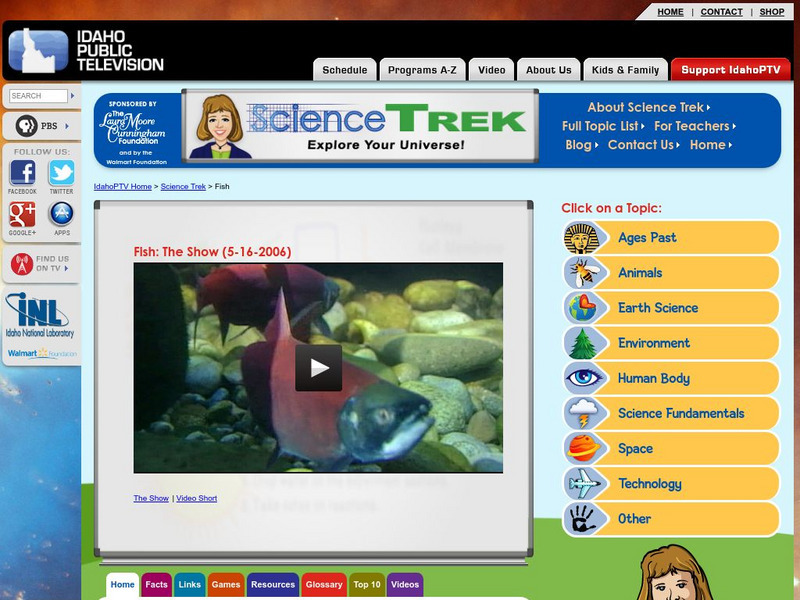 Idaho Ptv: Dialogue for Kids: Fish Website