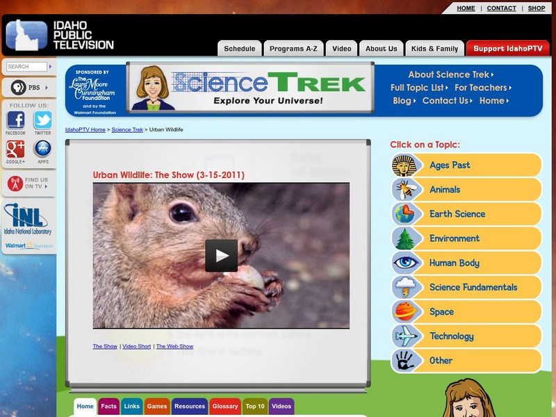 Idaho Ptv: Dialogue for Kids: Urban Wildlife Website Idaho Ptv: Dialogue for Kids: Urban Wildlife Website