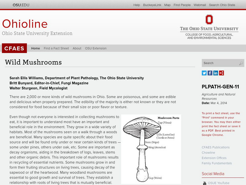 Ohio State University: Wild Mushrooms Graphic Ohio State University: Wild Mushrooms Graphic